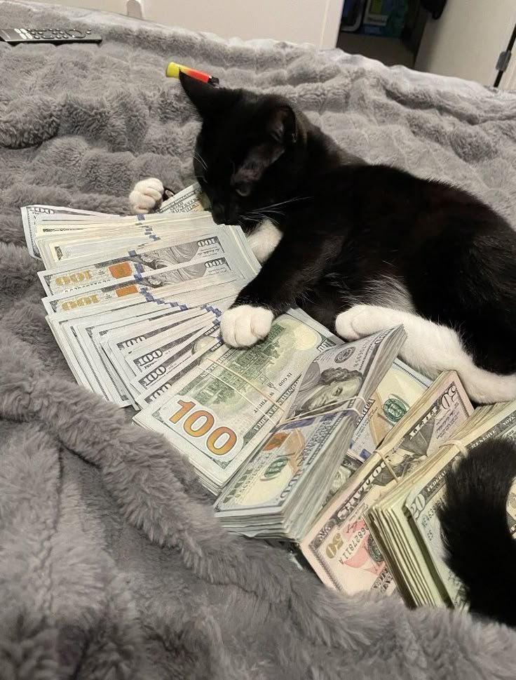 Money PFP Ideas