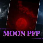 Moon PFP