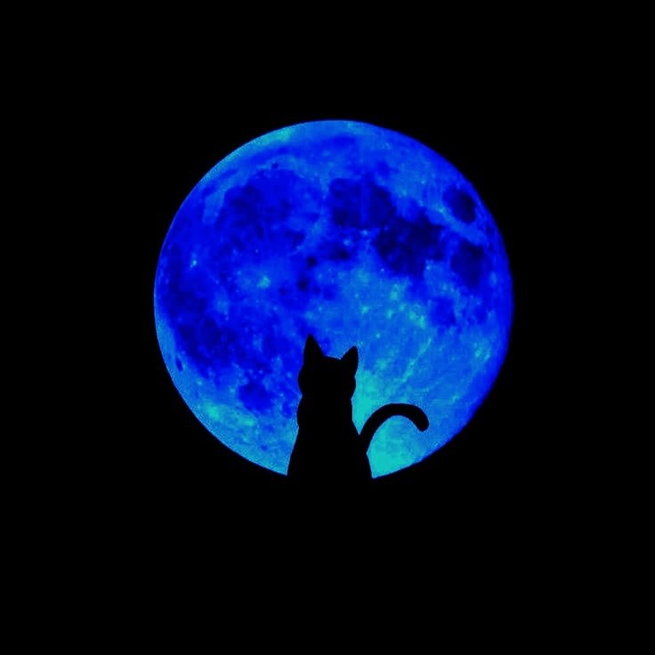 Moon PFP Blue