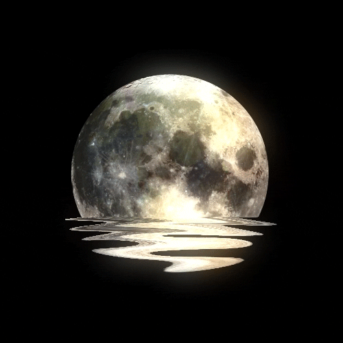 Moon PFP GIF
