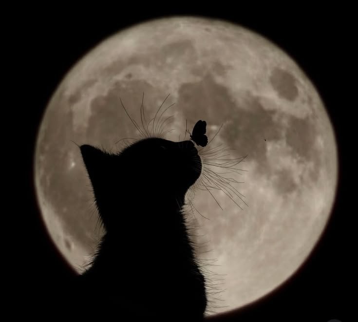 Moon PFP for Instagram