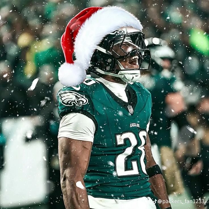 NFL PFP Christmas