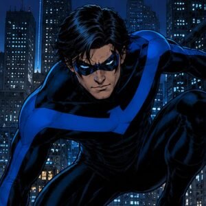 Nightwing PFP Aesthetic
