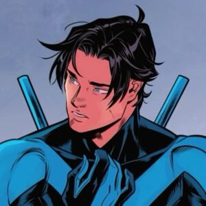Nightwing PFP Anime