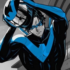 Nightwing PFP Anime