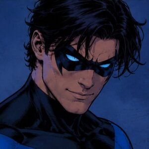 Nightwing PFP Boy