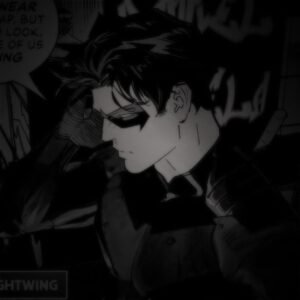 Nightwing PFP Dark