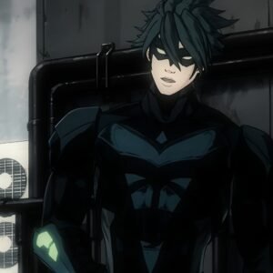 Nightwing PFP Dark