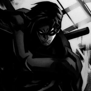 Nightwing PFP Dark