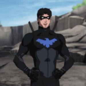 Nightwing PFP GIF
