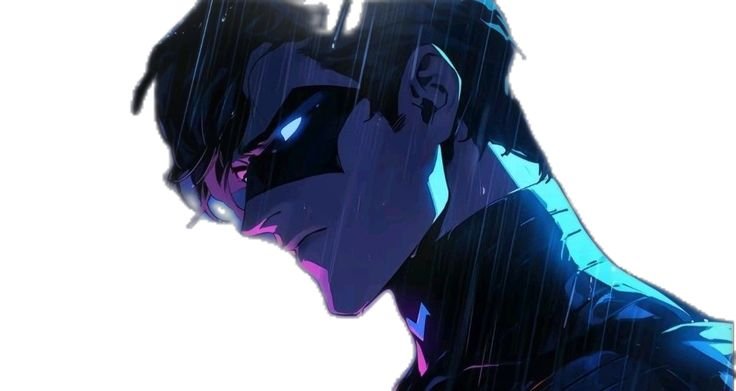 Nightwing PFP Icon
