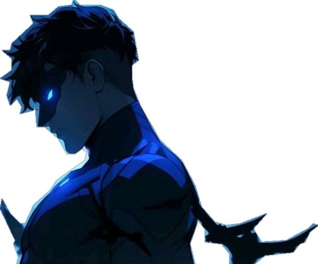 Nightwing PFP Instagram