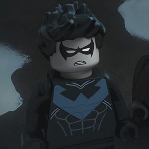 Nightwing PFP LEGO