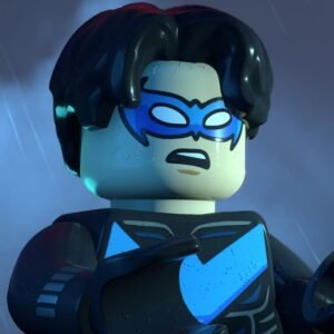 Nightwing PFP LEGO