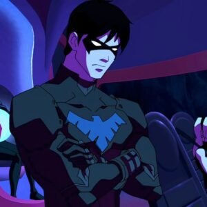 Nightwing PFP Young Justice