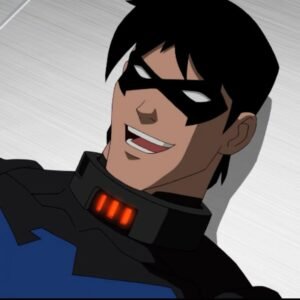 Nightwing PFP Young Justice