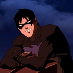 Nightwing PFP Young Justice