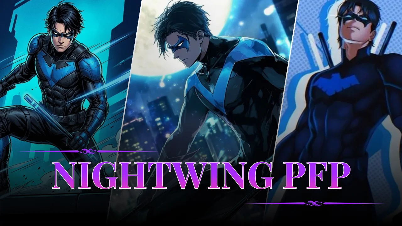 Nightwing PFP