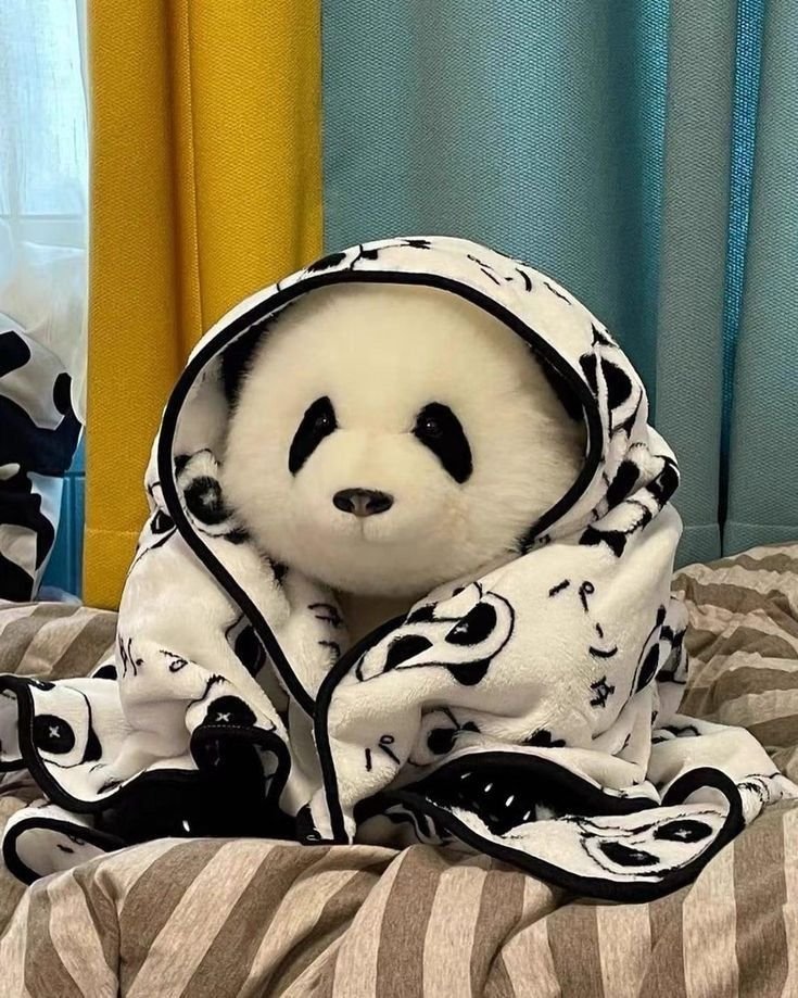 Panda PFP Aesthetic