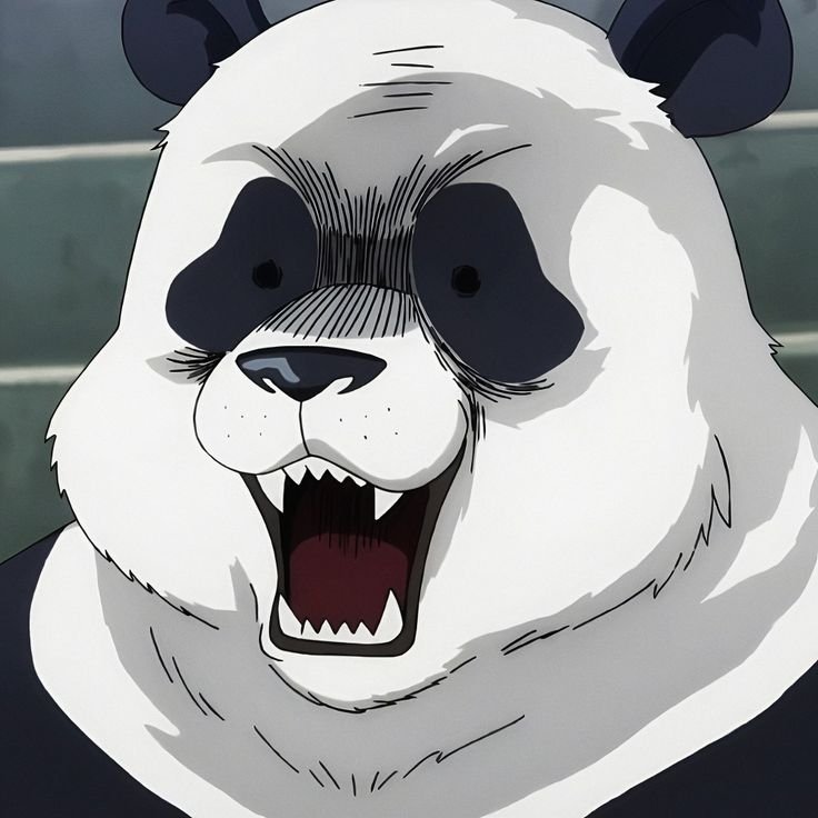 Panda PFP JJK