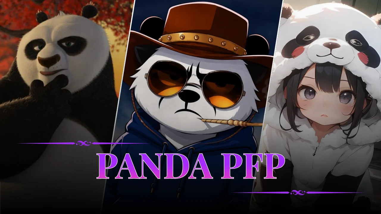 Panda PFP
