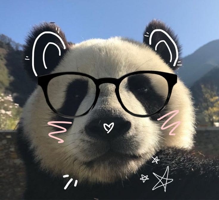 Panda With Glasses PFP
