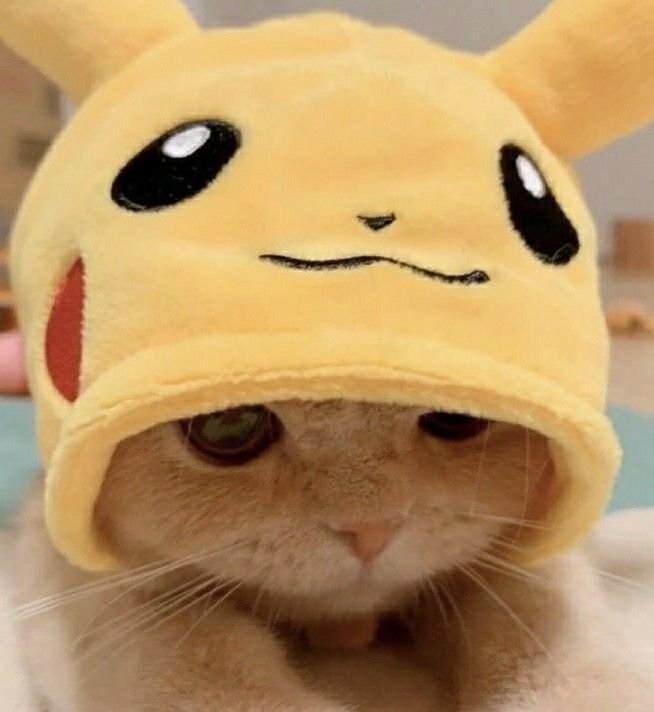 Pikachu PFP With Hat