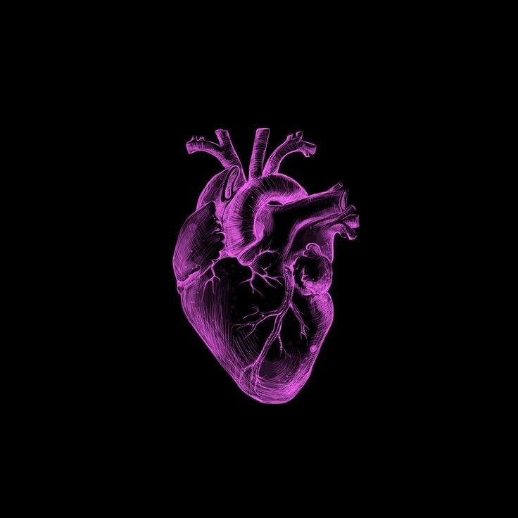 Purple Heart Aesthetic PFP