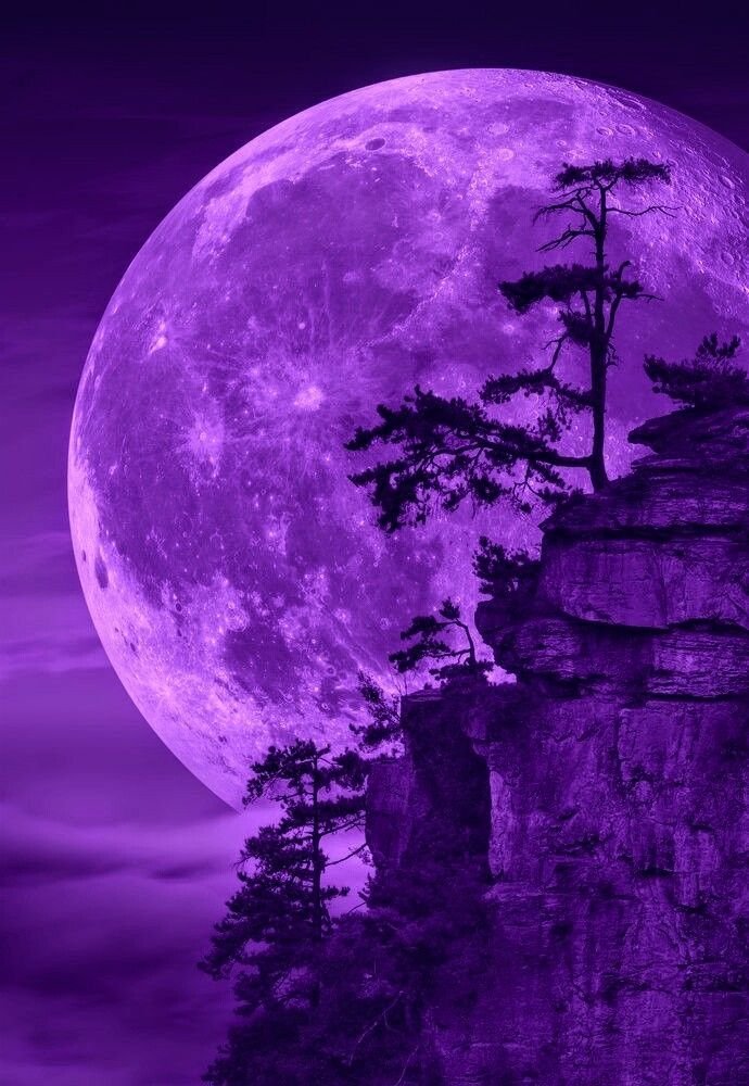 Purple Moon PFP