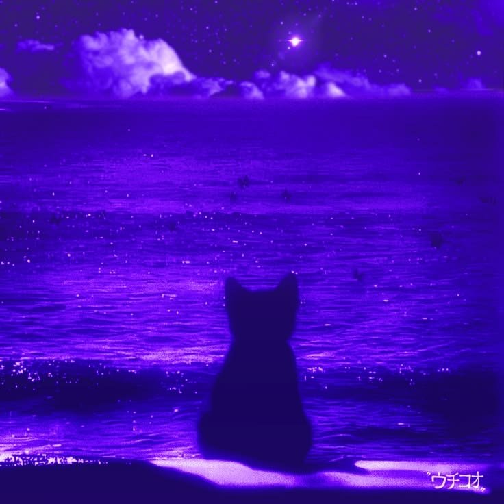 Purple PFP Background