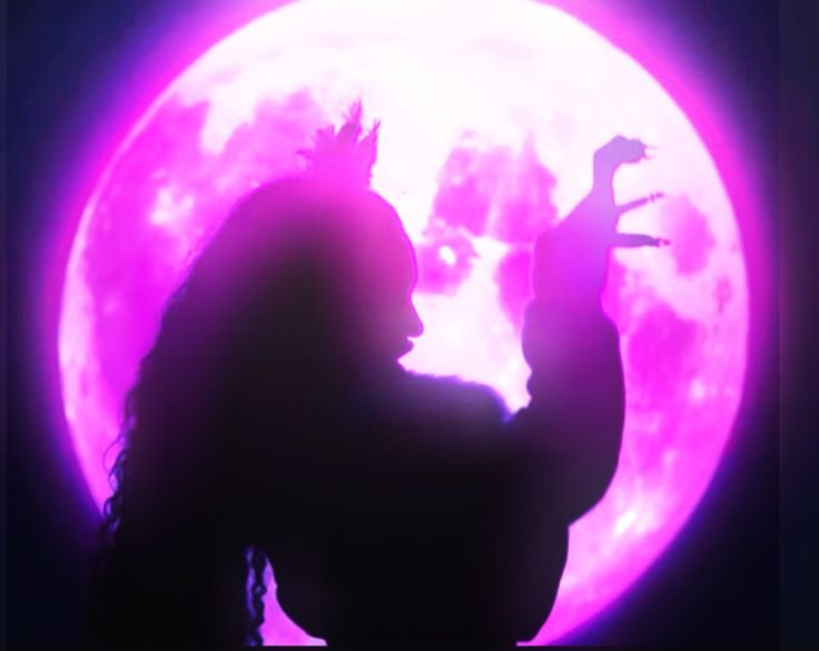 Purple PFP Katseye