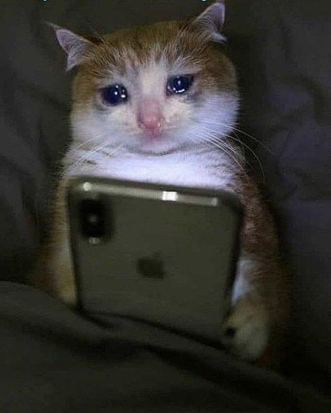 Sad Anime PFP Meme