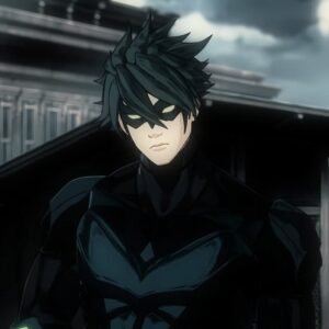 Sad Nightwing PFP