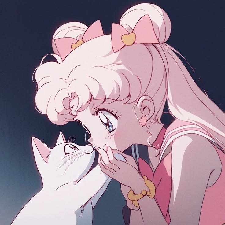 Sailor Moon PFP Aesthetic