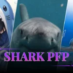 Shark PFP