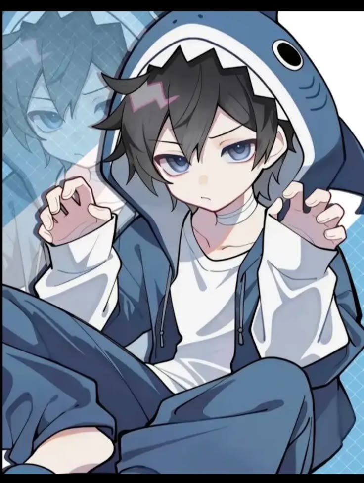 Shark PFP Boy