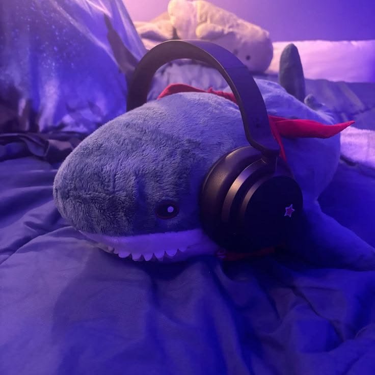 Shark PFP Cute