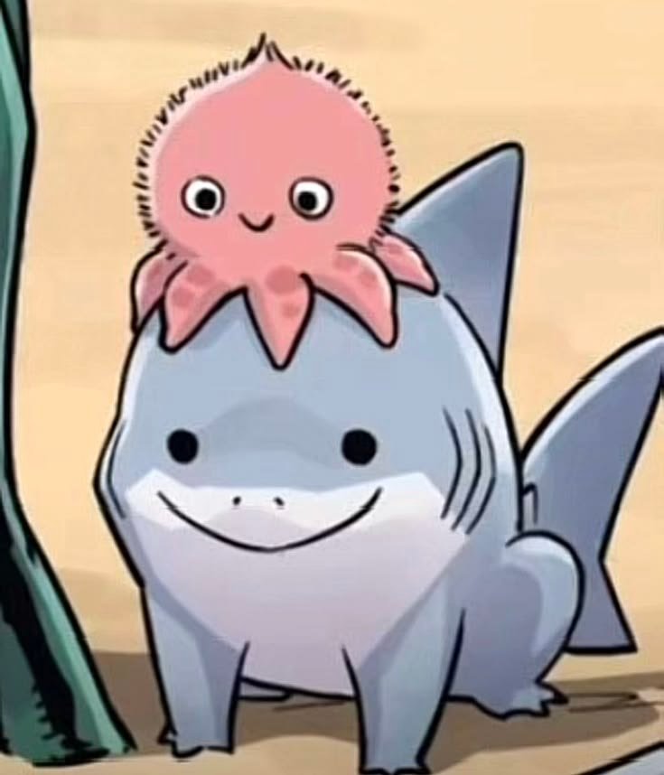 Shark PFP Cute Cartoon