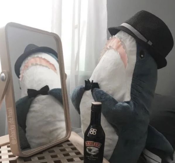 Shark PFP Silly