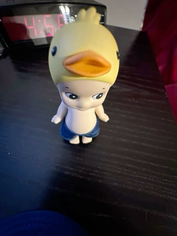 Sonny Angel PFP Duck