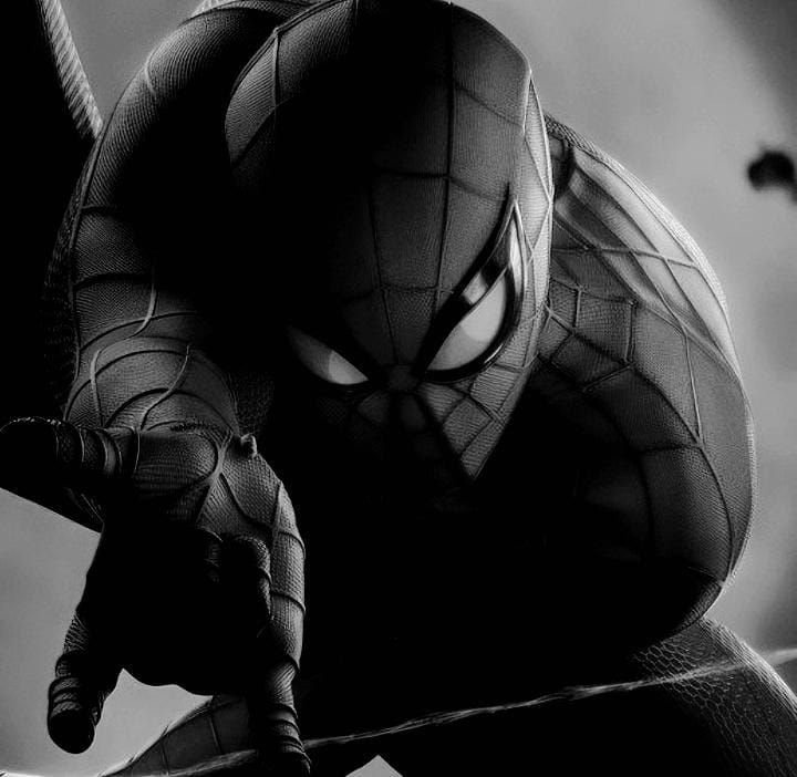 Spider-Man PFP Black and White