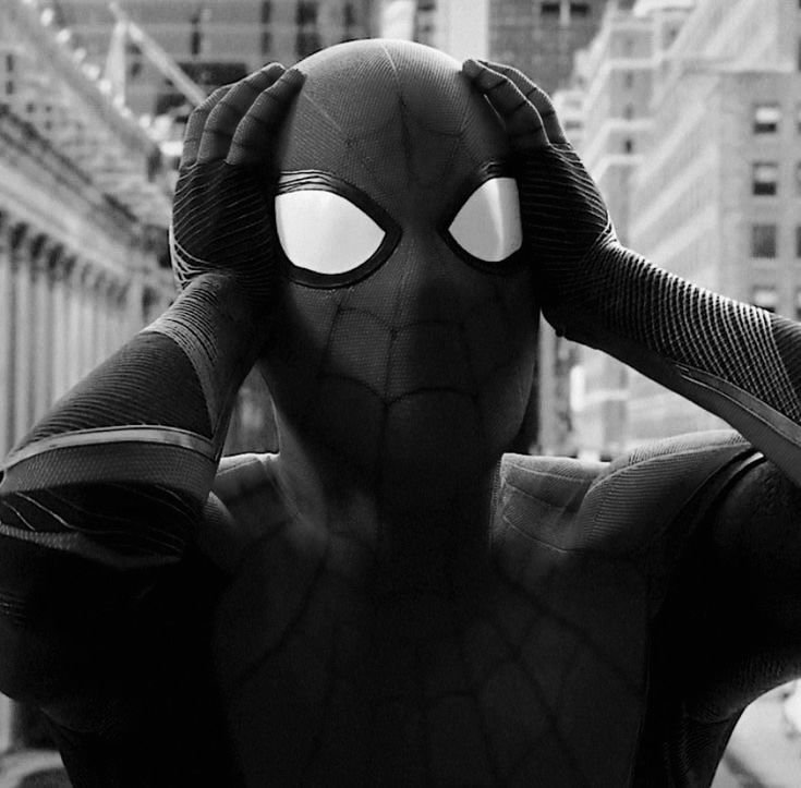 Spider-Man PFP Black and White