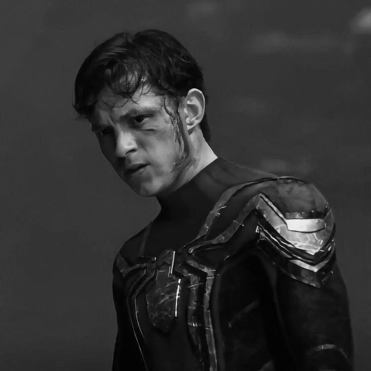 Spider-Man PFP Black and White
