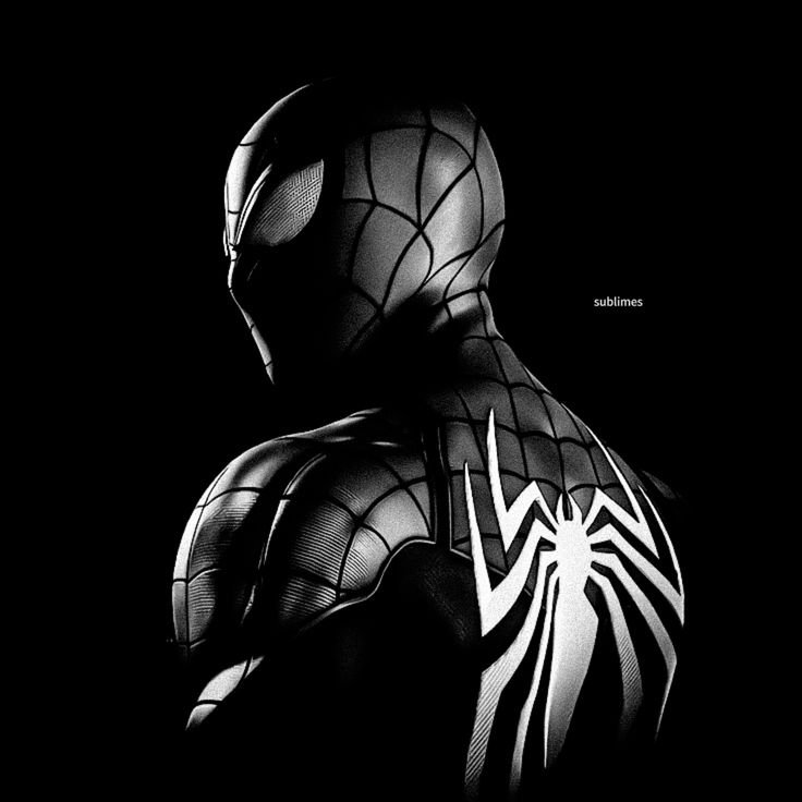 Spider-Man PFP Dark