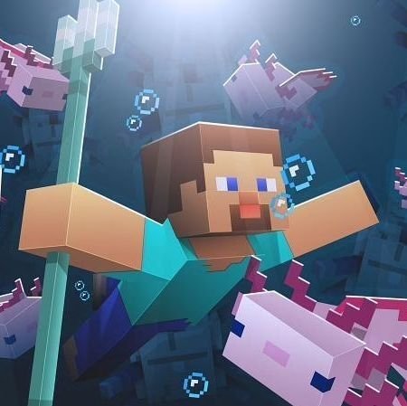 Steve Minecraft PFP