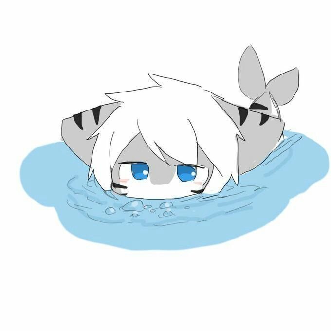 Tiger Shark PFP