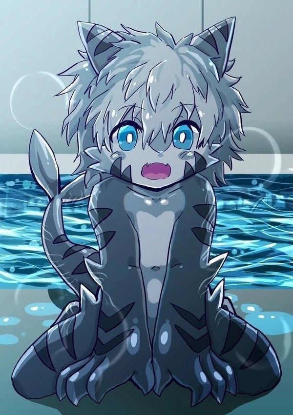 Tiger Shark PFP