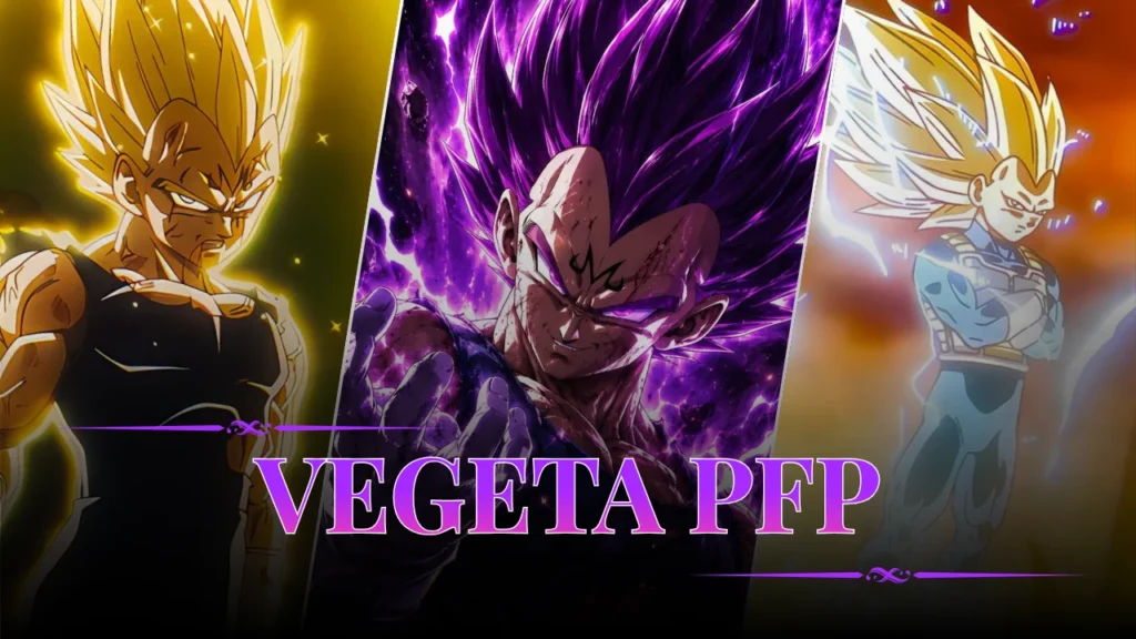 Vegeta PFP