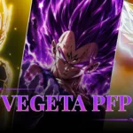 Vegeta PFP