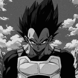 Vegeta PFP Black And White